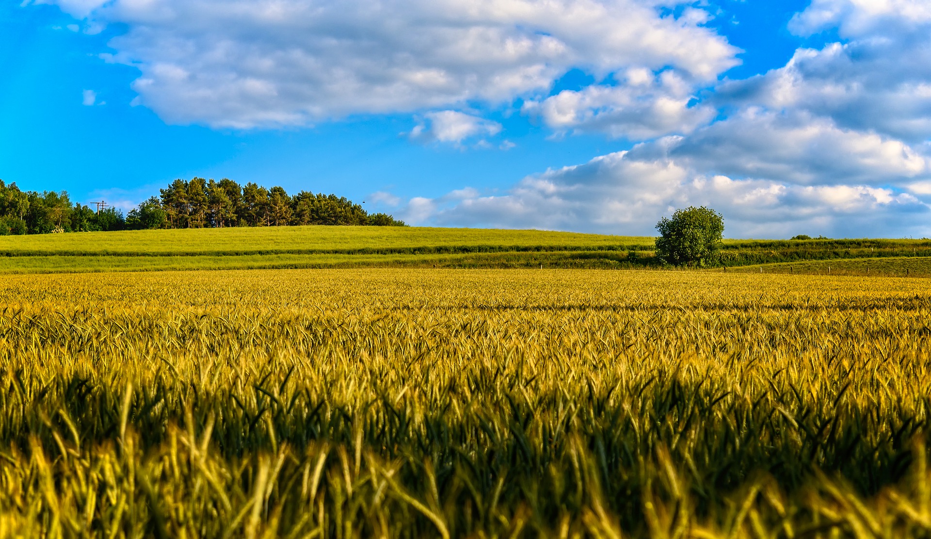 What are the Essential Parts of a Farm Lease? - Moen Sheehan Meyer